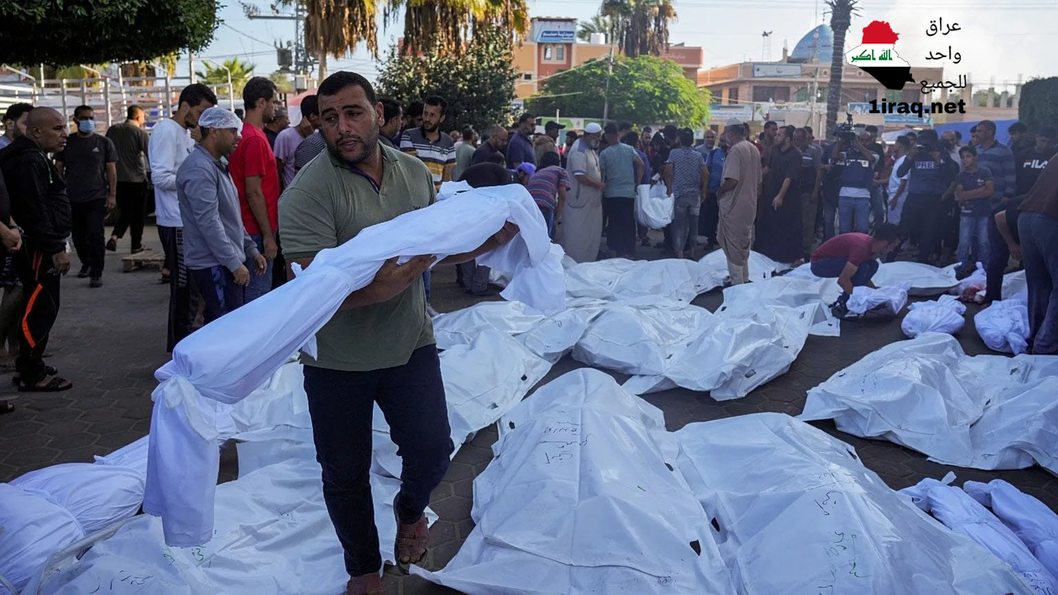 استشهاد العشرات خلال 24 ساعة في غزة وحصيلة شهداء التجويع ترتفع إلى 317