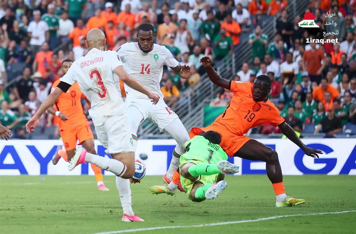 المغرب هولندا